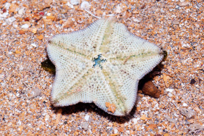 DSC_5415.jpg