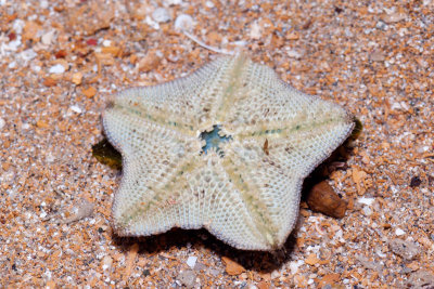 DSC_5416.jpg
