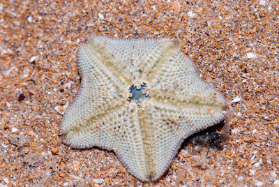 DSC_5417.jpg