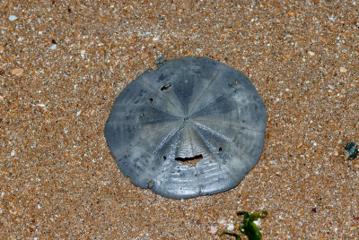 DSC_5420.jpg