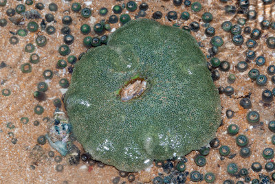 DSC_5423.jpg