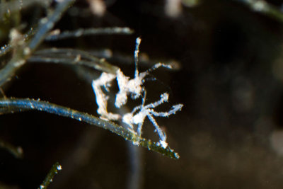 DSC_5525.jpg