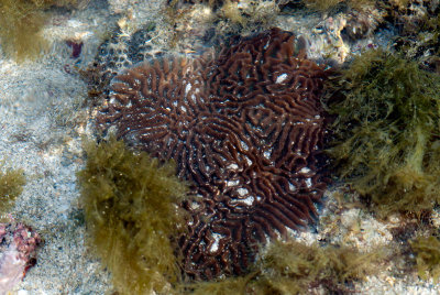 DSC_5530.jpg