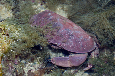DSC_5533.jpg