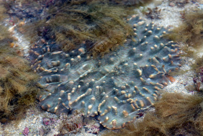 DSC_5534.jpg
