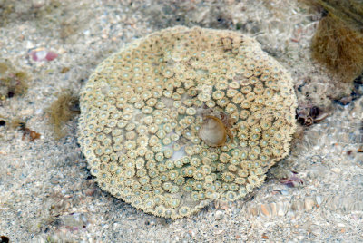 DSC_5535.jpg