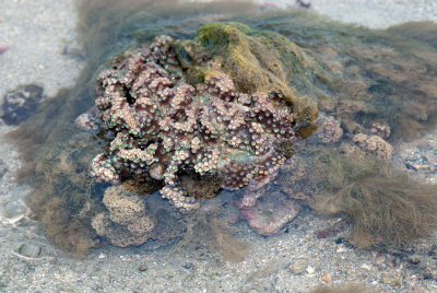 DSC_5538.jpg