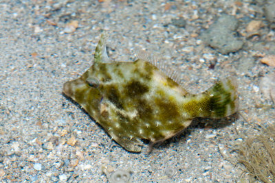 DSC_5543.jpg
