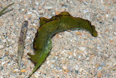 DSC_5544.jpg