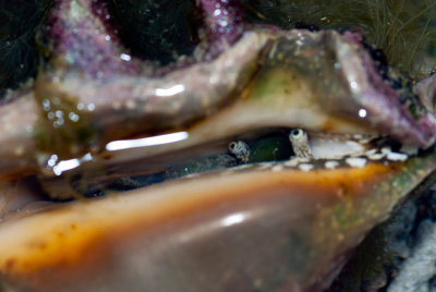 DSC_5552.jpg