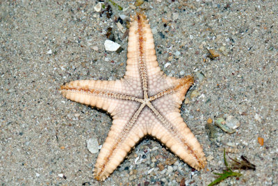 DSC_5565.jpg