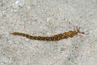 DSC_5569.jpg