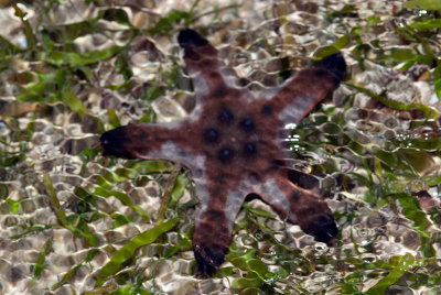 DSC_5576.jpg