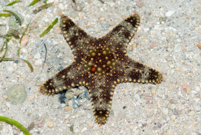 DSC_5578.jpg
