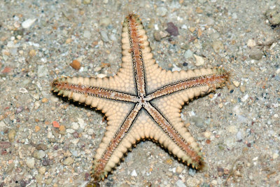 DSC_5579.jpg
