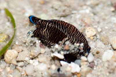 DSC_5582.jpg