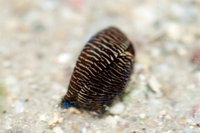 DSC_5584.jpg