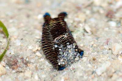 DSC_5586.jpg
