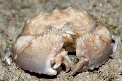 DSC_5588.jpg