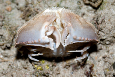 DSC_5594.jpg