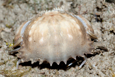 DSC_5595.jpg