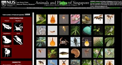 Animals and Plants of SG.tiff