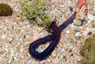 DSC_5660.jpg