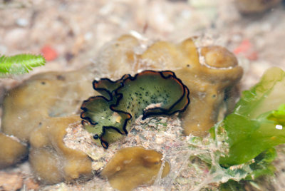 DSC_5663.jpg