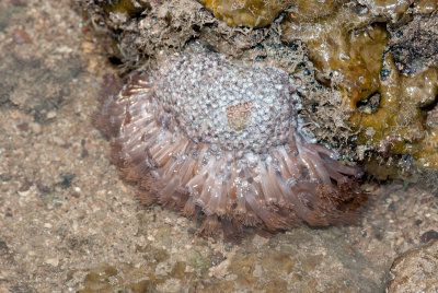 DSC_5672.jpg