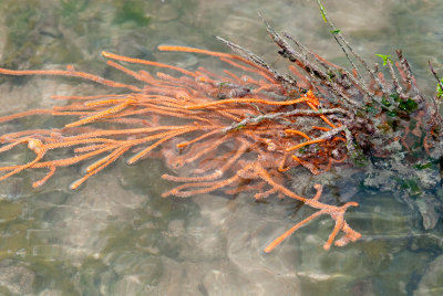 DSC_5677.jpg