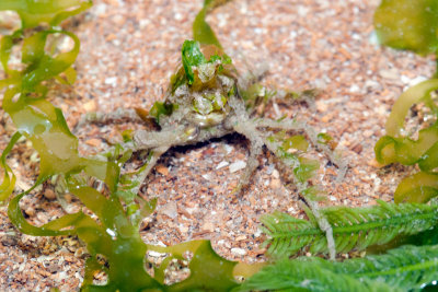 DSC_5716.jpg