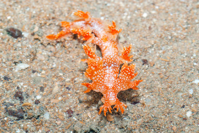 DSC_5719.jpg