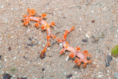 DSC_5731.jpg