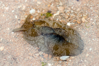 DSC_5736.jpg