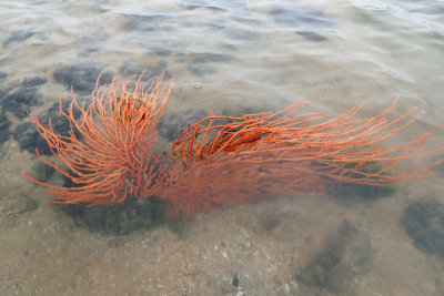 P3190045-copy.jpg