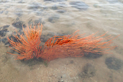 P3190046-copy.jpg
