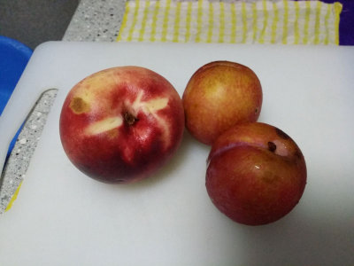 2015-03-22-21.02.jpg