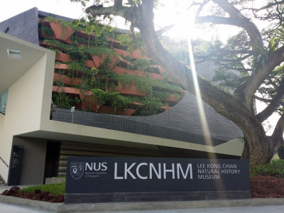 LKCNHM008.jpg