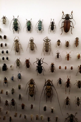 LKCNHM-Visit17-copy.jpg