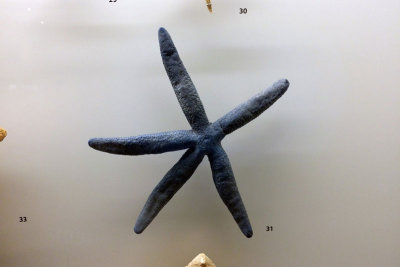 LKCNHM-Visit19-copy.jpg