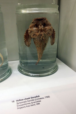 LKCNHM-Visit21-copy.jpg