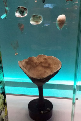 LKCNHM-Visit24-copy.jpg