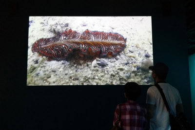 LKCNHM-Visit26-copy.jpg