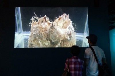 LKCNHM-Visit27-copy.jpg