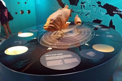 LKCNHM-Visit31-copy.jpg