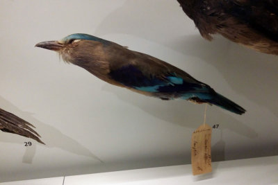 LKCNHM-Visit38-copy.jpg