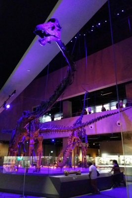LKCNHM-Visit49-copy.jpg
