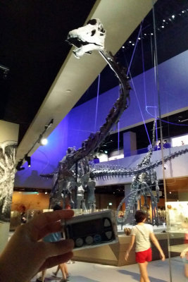 LKCNHM-Visit54-copy.jpg