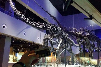 LKCNHM-Visit60-copy.jpg
