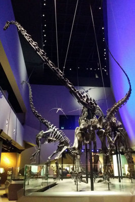 LKCNHM-Visit61-copy.jpg